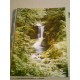 POSTER WATERFALL IN SPRING