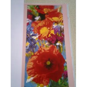 POSTER RED POPPIES